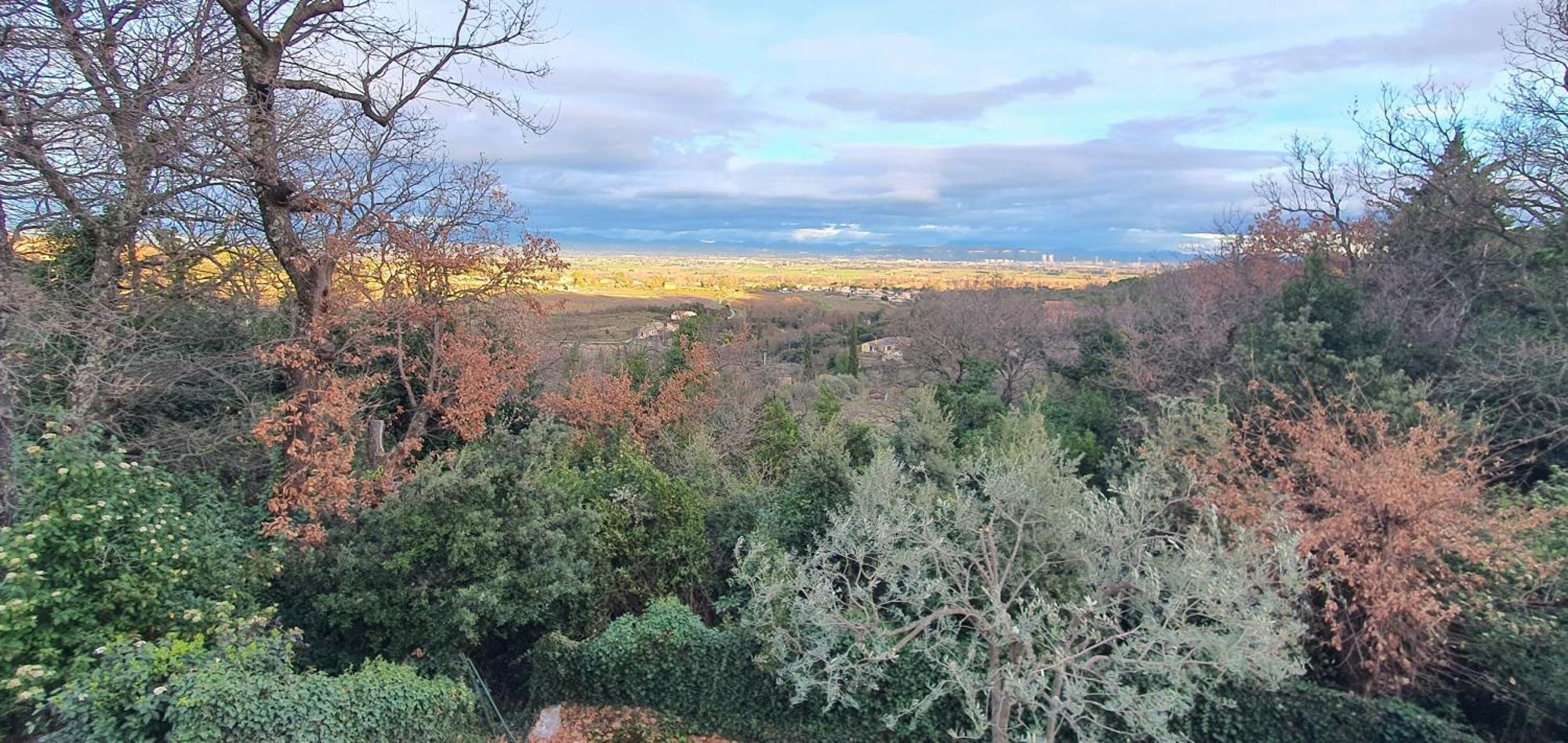 Appartamento La Romarine Bourg-Saint-Andéol Esterno foto